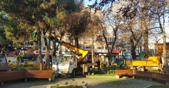 İZMİT’TE BUDAMA ÇALIŞMALARI DEVAM EDİYOR