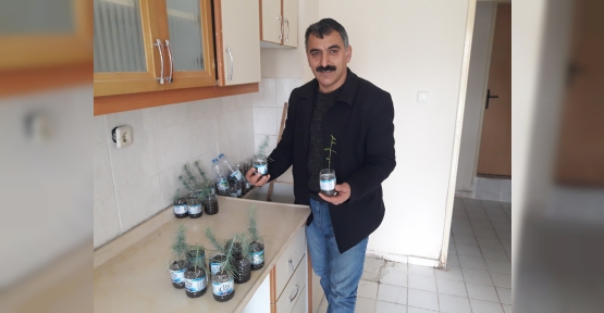 MUHTAR FİDE YETİŞTİRİP DAĞITIYOR