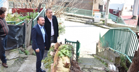 DOĞAN,  İNCELEMEDE