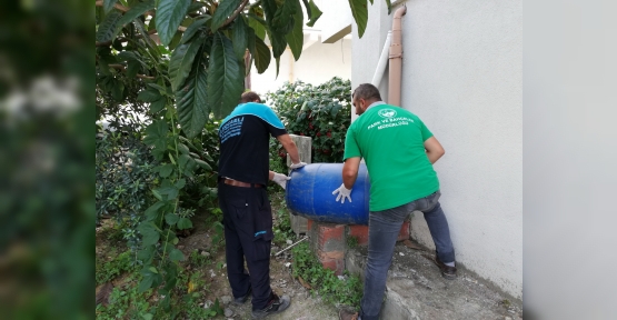 Derince’de Sivrisineklerle Yoğun Mücadele