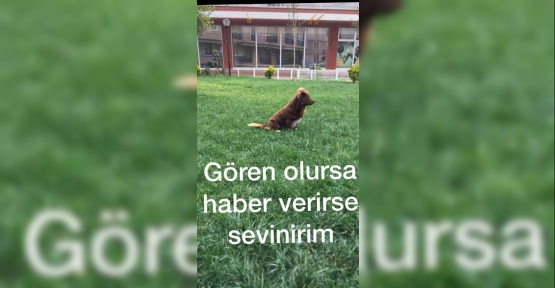 GOFRET ARANIYOR..!