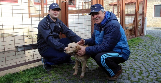 Sokak Hayvanlarına 5 Yıldızlı Bakımevi