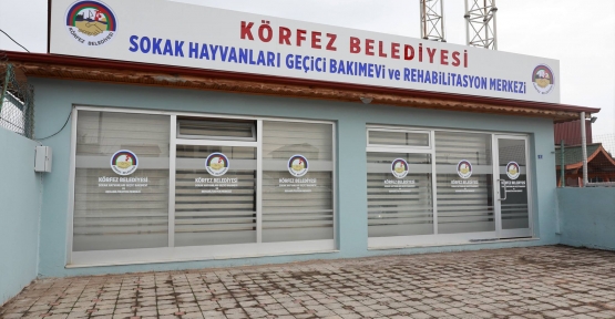SOKAK HAYVANLARI’NIN DOSTU ‘KÖRFEZ BELEDİYESİ’