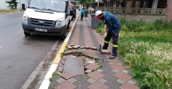 Körfez Genelinde Hummalı Çalışma