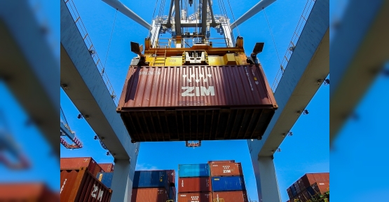 ZIM Line DP World Yarımca'yı Seçti
