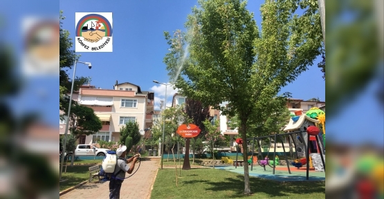 Körfez’de Tırtılla Mücadele