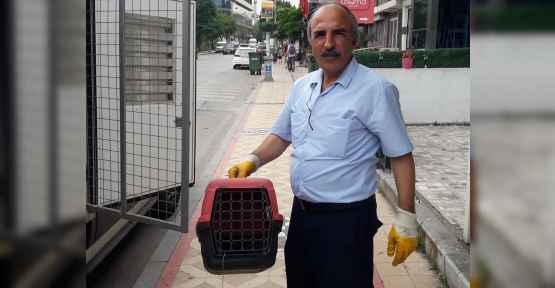 YAVRU KARGA OPERASYONU