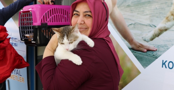 11 Bin 150 Minik Dost Sağlığına Kavuştu
