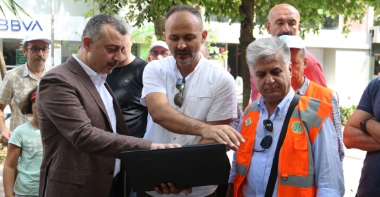 Asırlık çınarların röntgeni çekiliyor