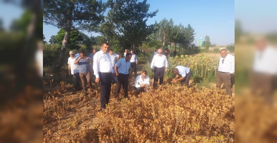 Başkan Aygün’den Tarımsal Kalkınma Hamlesi