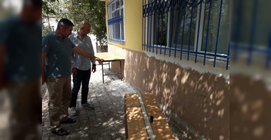 Körfez’de Meyve Ağaçları  Tehdit Altında
