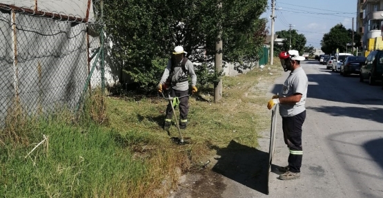 Körfez’de ot biçme çalışmaları sürüyor