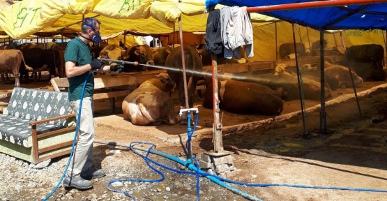Kurban Satış Yerleri İlaçlanıyor