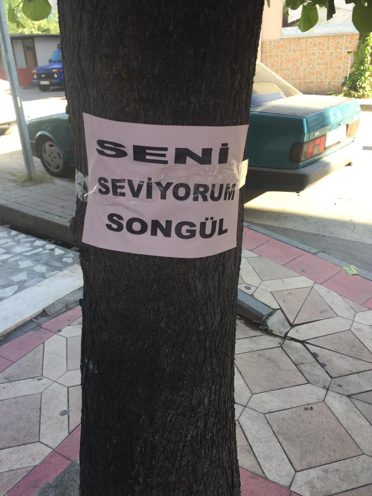 AŞKINI DİREKLERE YAZDI