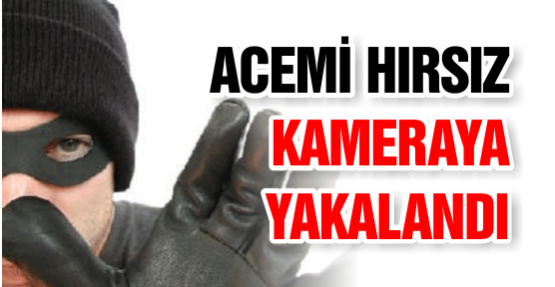 Acemi Hırsız Kameraya Yakalandı