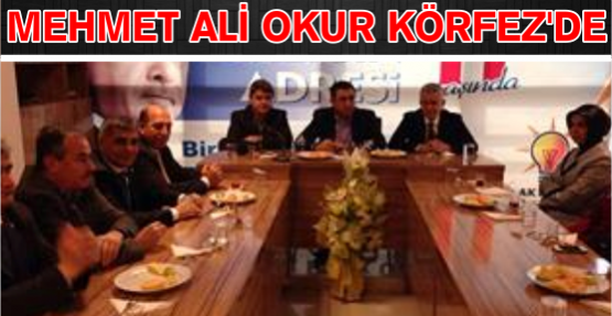 Ak Parti Milletvekili Mehmet Ali Okur mesaide