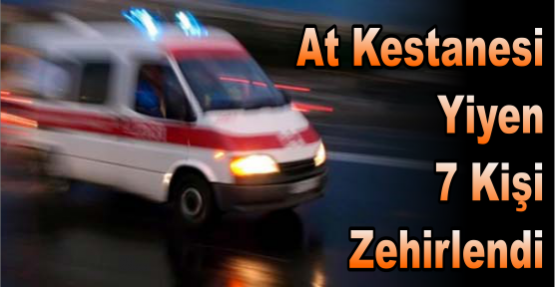 AT KESTANESİ AZ KALSIN ÖLDÜRÜYORDU!