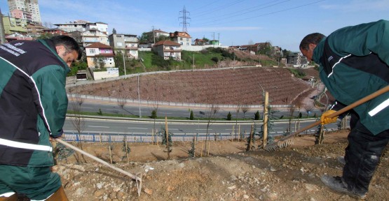 Ayşenur İnci Ayşenur İnci