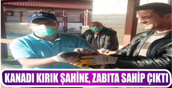 KANADI KIRIK ŞAHİNE, ZABITA SAHİP ÇIKTI