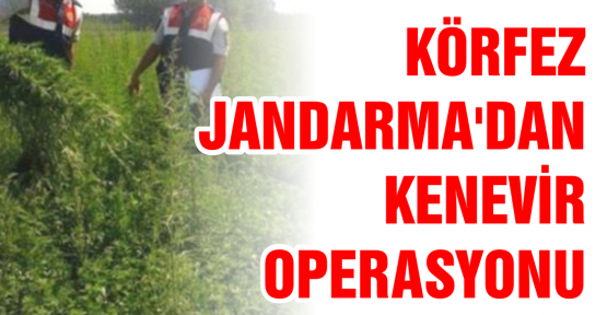 Kenevir Operasyonu