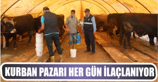 KURBAN PAZARI HER GÜN İLAÇLANIYOR