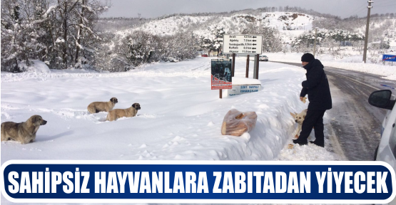 SAHİPSİZ HAYVANLARA ZABITADAN YİYECEK