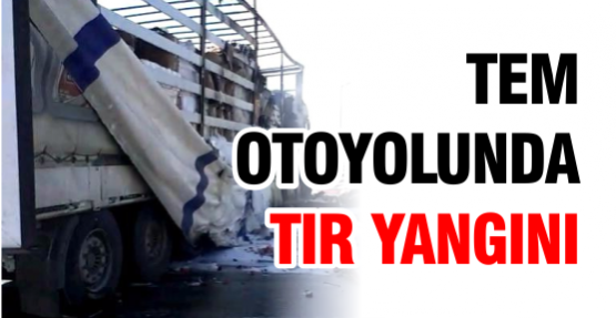 Tem Otoyolunda Tır Yangını