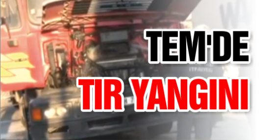 Tem'de Tır Yangını