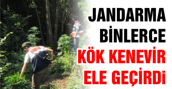 Uyuşturucuya geçit yok