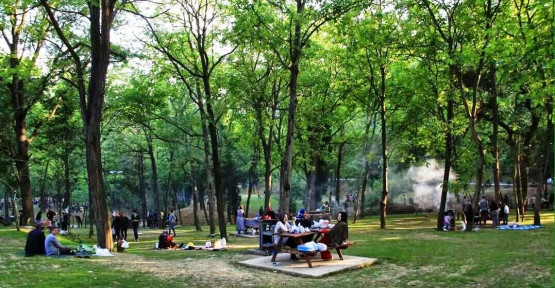 Cephanelik Mesire Alanı İzmitlilerin Uğrak Yeri Oldu