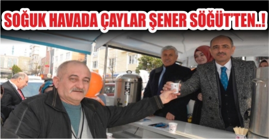 Söğüt Vatandaşa Elleriyle Çay İkram Etti