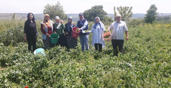 BÜYÜKŞEHİR’DEN ÇİFTÇİLERE HER ALANDA DESTEK