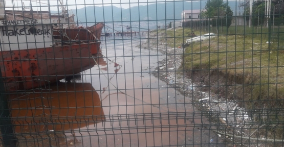 KİRLİLİĞİN NEDENİ GEMİLER DEĞİL, ALG PATLAMASI