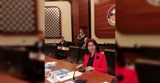 Yelda Pişkin, Parklarda ki Trafo Ve Önlemleri Meclise Taşıdı