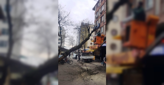 İzmit Belediyesi Tehlikeyi Ortadan Kaldırdı