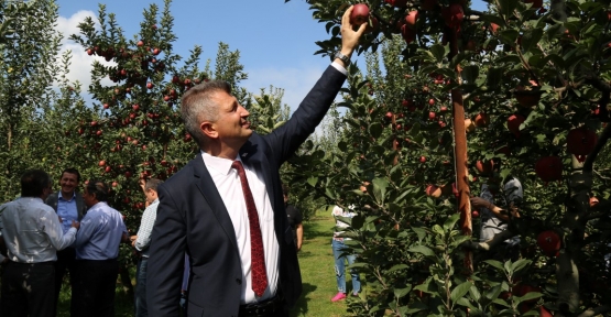 27. Yeşil İhsaniye Elma Festivali Başladı