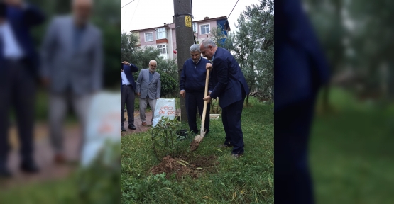 Derince’de Fidan Dikme Etkinliği