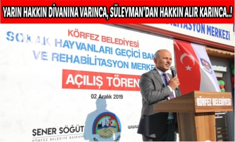 Sokak Hayvanları İçin Modern Merkez