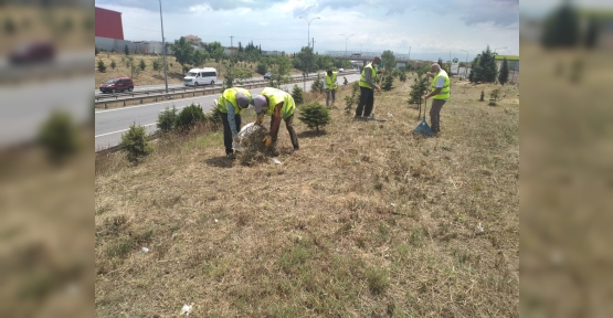 Gebze’de D-100 ve Otoyol Kenarlarında Temizlik Yapıldı