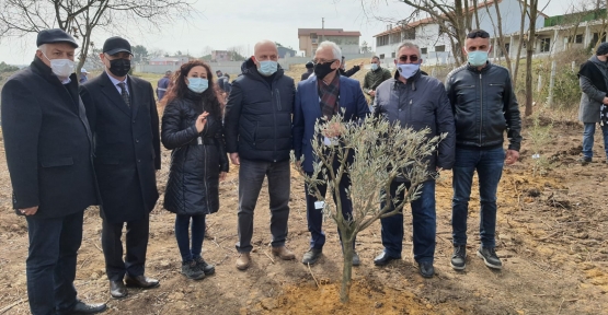 Babalı Sahili’ne Anlamlı Hatıra Ormanı