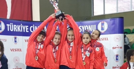 İzmitli Cimnastikçiler  Türkiye Şampiyonu Oldu