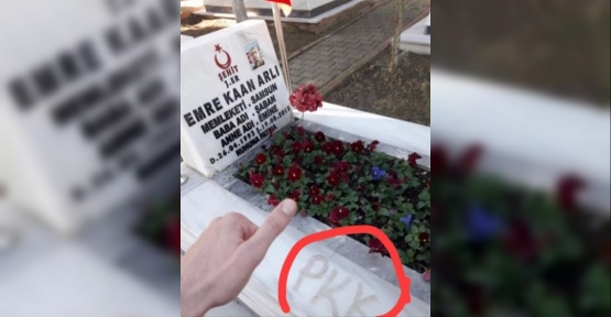 Şehidin Mezarına PKK Yazıp, Hakaret Etti.!
