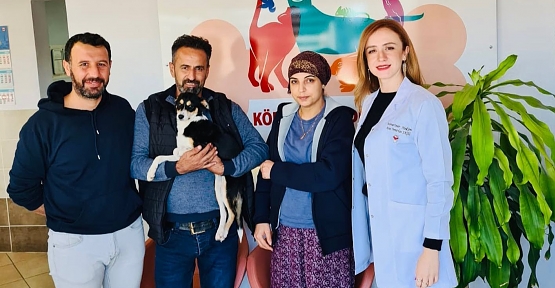 Tedavi Edildi, Sahiplendirildi