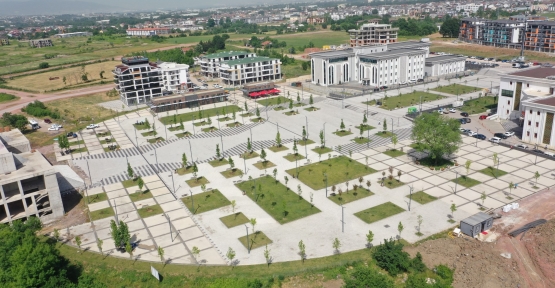 Kartepe Kent Meydanı’nda  Çınar Ağaçları Yeşerecek