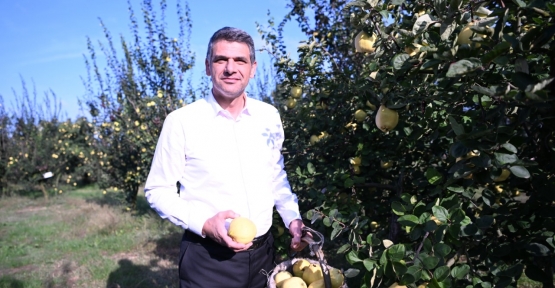 Eşme Ayva Festivali 23 Ekim’de
