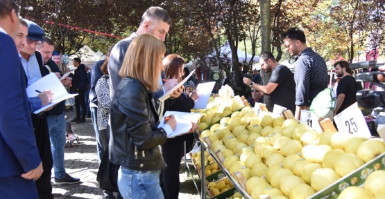 KARTEPE’DE TÜRKİYE’NİN EN GÜZEL AYVALARI YARIŞTI