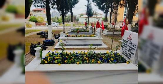 Körfez Şehitliği’ne Bakım Yapıldı