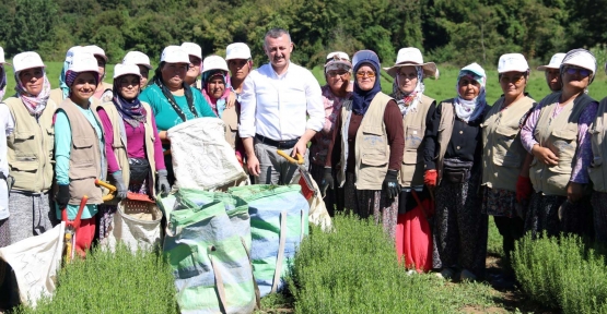 30 BÜYÜKŞEHİR, TARIMIN KALKINMASI İÇİN KOCAELİ’DE BİR ARAYA GELİYOR