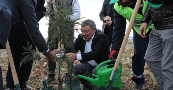 Dilovası’nda 2 Bin 500 Fidan Toprakla Buluştu