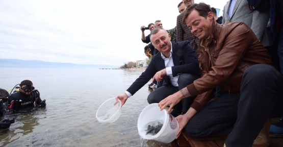 Karamürsel’den Körfez’e 6 Bin Balık Salındı